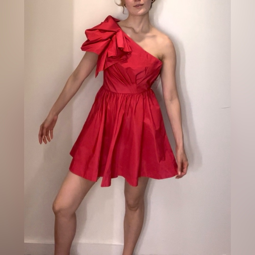 Winter Sale | Red Pinko Dress